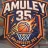 Escudo de Amuley35