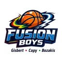 Escudo de Fusion Boys
