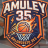 Escudo de Amuley35